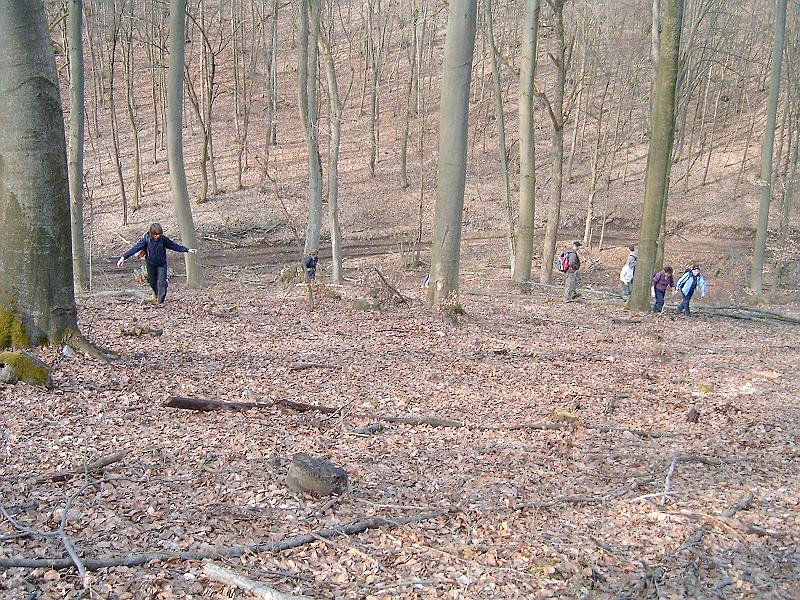 2010.03.20 066.jpg